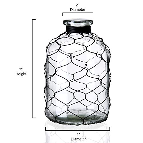 Diamond Star Decorative Glass Bottle Vase Chicken Wire Wrap Flower Vase For Home Decor (4" X 7") #TOP3