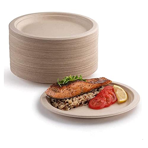 Lot de 50 assiettes en carton super rigides 100 % biodégradables et compostables, respectueuses de l'environnement, très résistantes, recyclables, parfaites pour les pique-niques et les (25,4 cm)