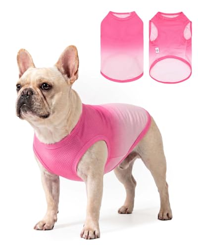 Image of CuteBone Ombre Dog Tank Top for Small Dogs, Cats - Tropical Summer Pet Vest - Breathable Ice Silk Cooling Shirt - Sun Protection, Photo, Casual Play, Walks