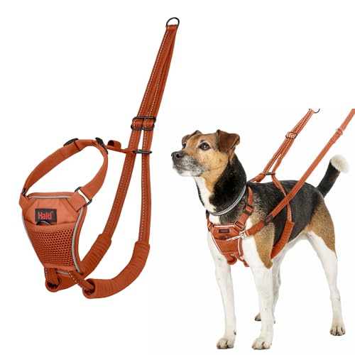 HALTI No Pull Anti-Zug Geschirr - Verhindert, dass Ihr Hund an der Leine zieht, Gepolsterter Brust- und Beingurt, Reflektierendes Gurtmaterial, Einfache Anpassung und Benutzung (Größe S, Dunkelorange)