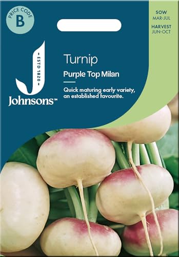 Johnsons Turnip Purple Top Milan, Vegetable Seeds