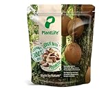 PlantLife Nueces de Brasil BÍO 1kg – nueces de Brasil naturales – crudas y sin tratar - 100% reciclable