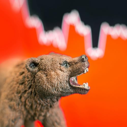 Calling the Bear: How Carter Braxton Worth Predicted the Market Drop and What Comes Next Podcast Por  arte de portada
