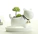 Youfui Cute Succulent Planter Animal Shaped Flower Pot Decor for Home Office Desk (Dog)