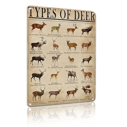Rustic Types Of Deer Metal Sign Vintage Farmhouse Wall Art Tin Sign Hunting Decor & Educational Poster for Home Man Cave Bar 8x12 Inches (25135)