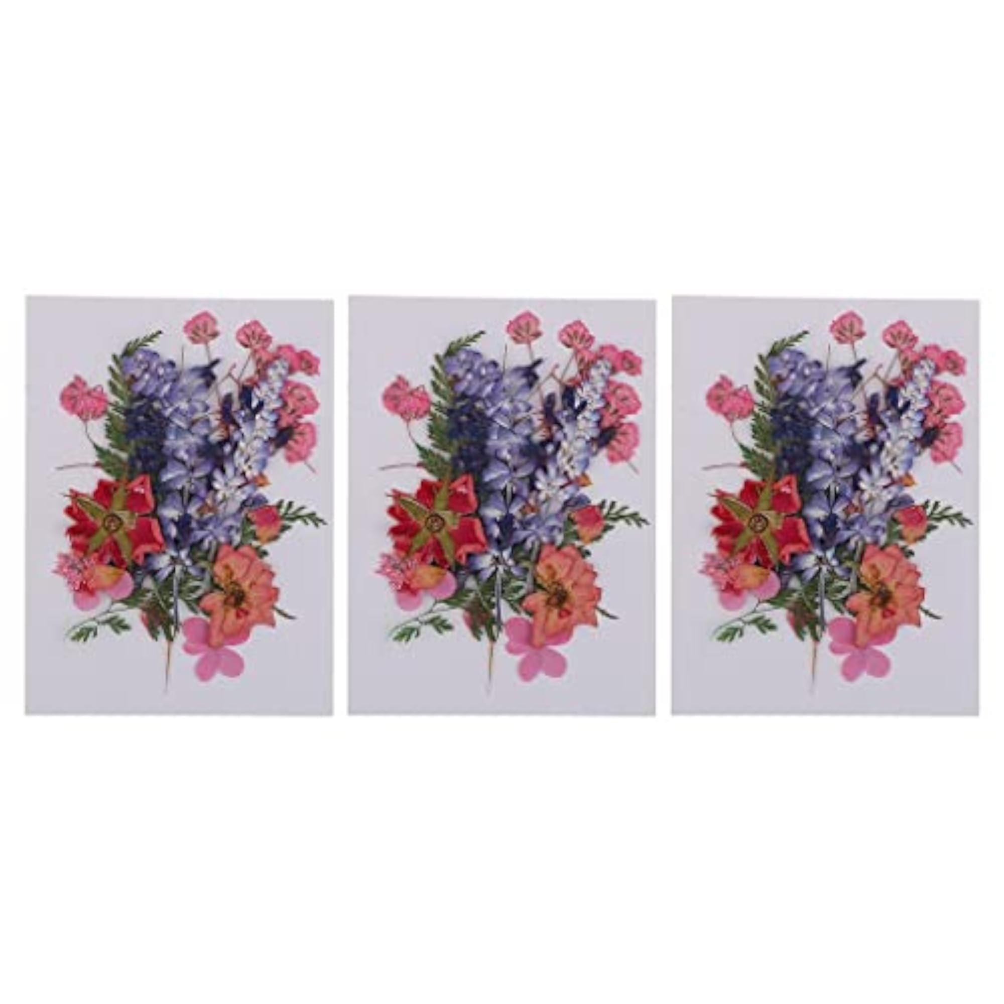 3 Multiple Dried Flowers for DIY Arts Crafts