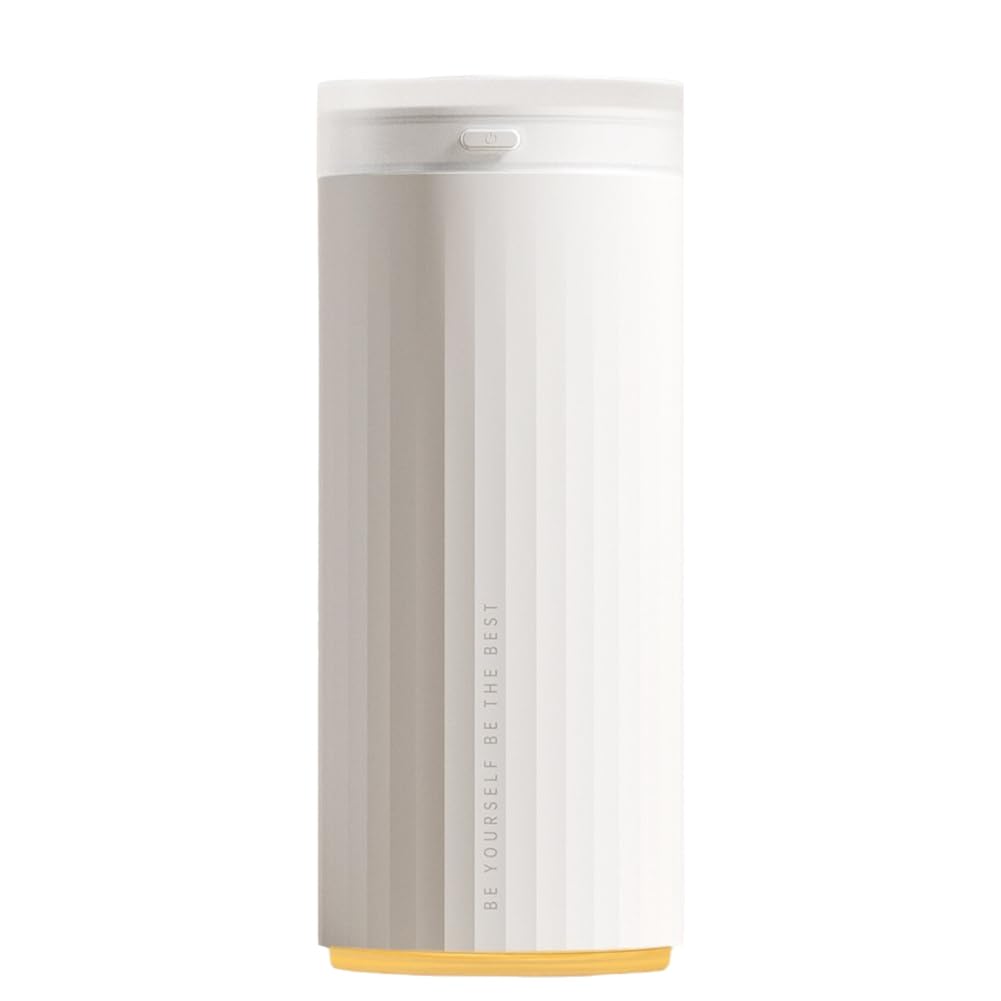 CTRLZS Small Humidifier, Portable Mini Humidifier, Bedroom Personal, Cool Mist Humidifier, Silent, Double Mist Outlet