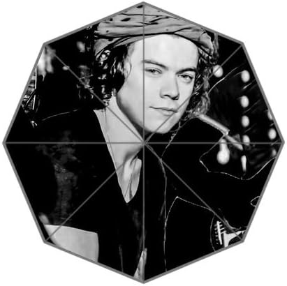 Colors of Rainbow RainbowRain Harry Styles Custom Fabric Auto Polyester Compact Resistant Anti-UV Waterproof Polyester Pongee Foldable Umbrella 06