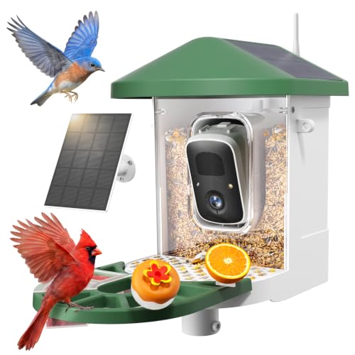 HARYMOR Q8 Solar Bird Feeder