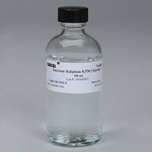 0.5 M Sucrose Solution, 100 mL