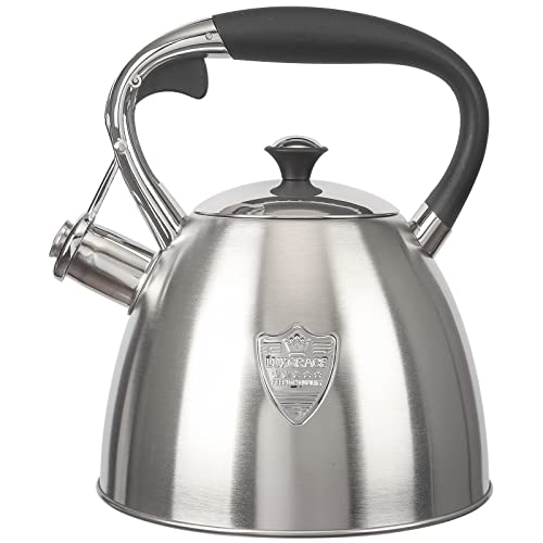 Find The Best Stainless Steel Stovetop Kettles Reviews & Comparison