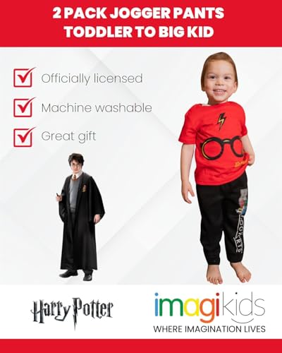 Harry Potter Gryffindor Slytherin Hufflepuff Ravenclaw Fleece 2 Pack Jogger Pants Toddler to Big Kid3