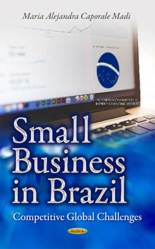 Small Business in Brazil: Competitive Global Challenges (Business Economics in a Rapidly-Changing World)