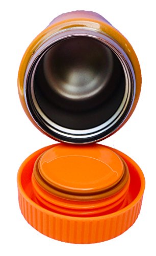 Pote Térmico Inox Infantil Papinha Sopa Fruta 260ml (ELEFANTE)