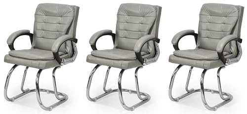 Image of Stainless Steel Special Director Principal Manager Office Visitor Study Chair with Arm Rest with Double Pipe Frame and Cushioned Seat Back (3, Grey, Double Pipe Frame)
