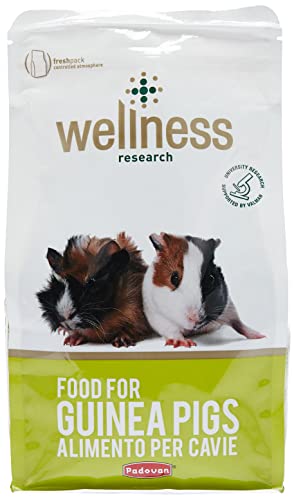 Padovan Wellness Guinea Pigs 1Kg, Multi-Colour