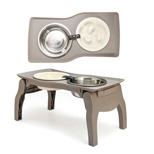 frenchie slow feeder