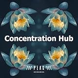  Concentration Hub