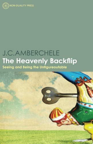 Preisvergleich Produktbild The Heavenly Backflip: Seeing and Being the Unfigureoutable