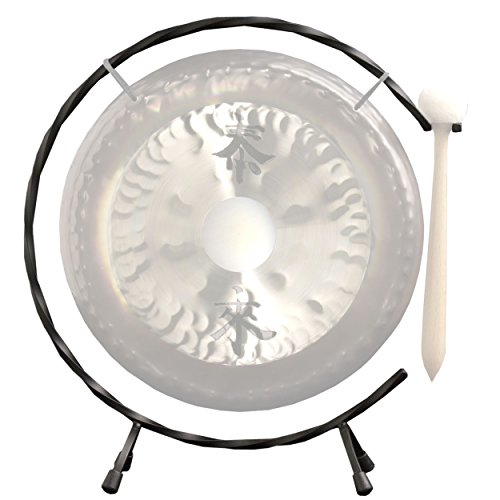Paiste 10 Inches Deco Gong Set with Floor Stand