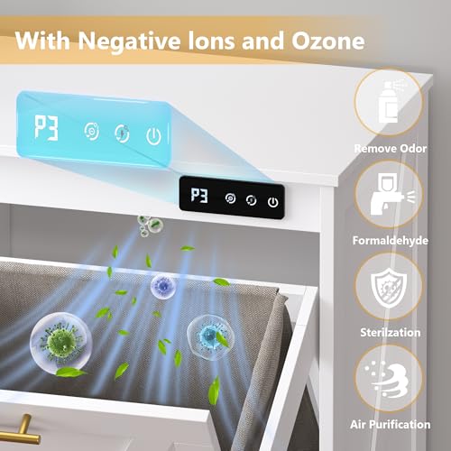 Image of BORNOON Tilt Out Trash Can Cabinet for 2 Bins, Hidden Recycle Garbage Bin Enclosure, Wooden Double Laundry Cabinet with Odor Control, Negative Ion & Ozone, for Kitchen, Bathroom, Laundry Room