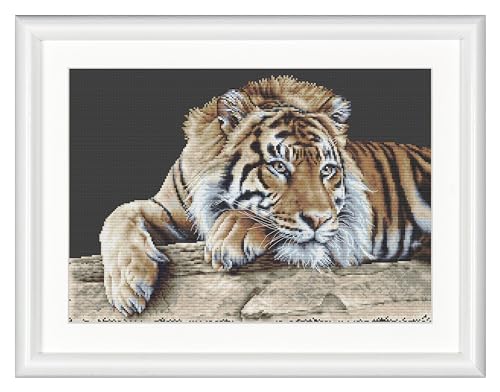 Thea Gouverneur - Counted Cross Stitch Kit - Tiger - Black Aida - 14 Count - Embroidery Kit for Adults - DMC Embroidery Threads and Other Cross Stitch Supplies Included - 579.05