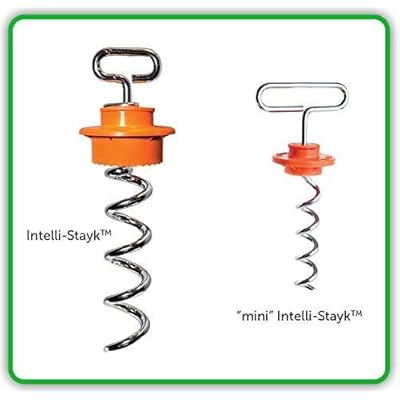 dog corkscrew tether