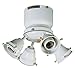 Craftmade-Fitters-OF400CFL-BR