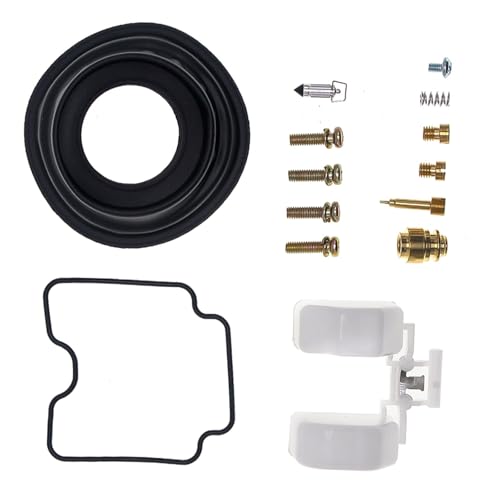 Kit réparation carburateur Suzuki GS500F réparation fuite essence