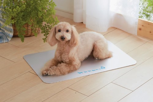Lサイズ ペット冷却マット 夏冷却犬ベッド & スリーピングマットペット Pet Style 犬 ベッド 夏 冷却 ジェルマット ペットベッド 猫