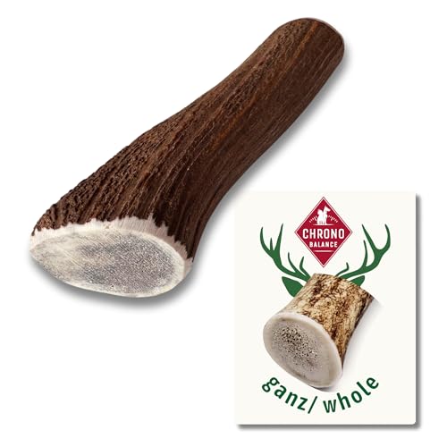 ChronoBalance® XL Kaustange für Hunde ganze Stücke als Kauspielzeug: 100% Hirschgeweih für Hunde, Hundespielzeug, Leckerli Zahnpflege, Kausnack, Geweih Kauknochen, Natürlich ohne Zusätze (1er Set)