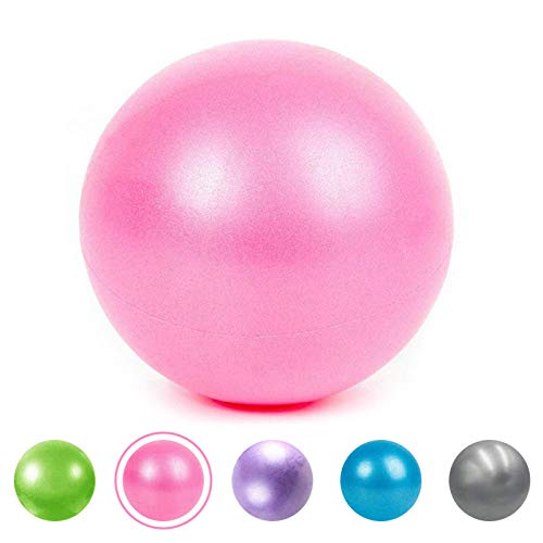 XIECCX Mini Yoga Balls 9 Inch Exercise Pilates Ball Therapy Ball Balance Ball Bender Ball Barre Equipment for Home Stability Squishy Training PhysicalCore Training with Inflatable Straw (Pink)