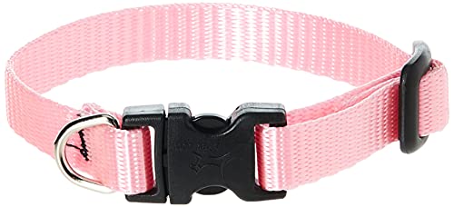 LupinePet Basics 1/2