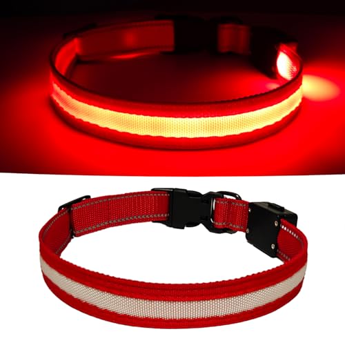  p U  Cg PxLED 300mAheʓdr Type-C[d 3[h_ ˍޕt iC h փTCY\ ^ ^ ^ Lp SS ԎU (bh, S)