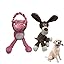 Pink & Gray