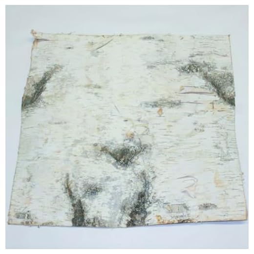 Wilson Birch Bark 12" x 12" Pack