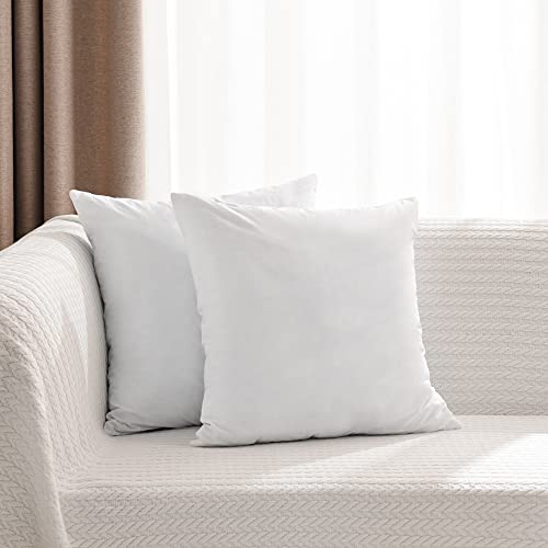 Basic Home Euro-Kisseneinlagen, Memory-Schaum-Füllung, hohe Dichte, mit Langer Unterstützung, für Zuhause, Couch, Hotel-Kollektion, Baumwollstoff, 28 x 28 cm, 2 Stück
