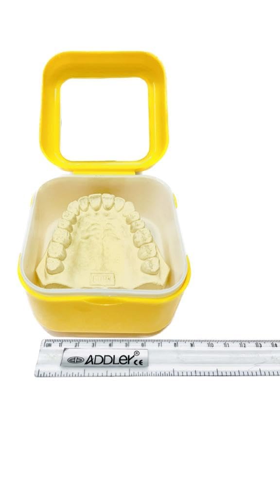 ADDLER DENTAL DENTURE BOX, DENTURE BATH CASE BOX HOLDER STORAGE SOAK CONTAINER WITH STRAINER BASKET, RETAINER CLEANING. (AUTOCLAVABLE) QTY:- 1-picture-16