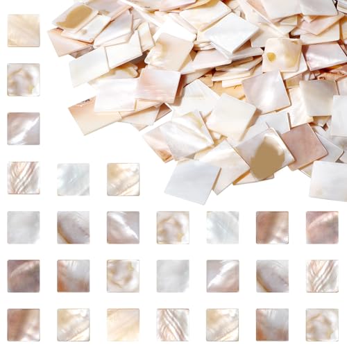 Mosaico de nácar brillante con 350 teselas cuadradas de concha para manualidades en relieve 2