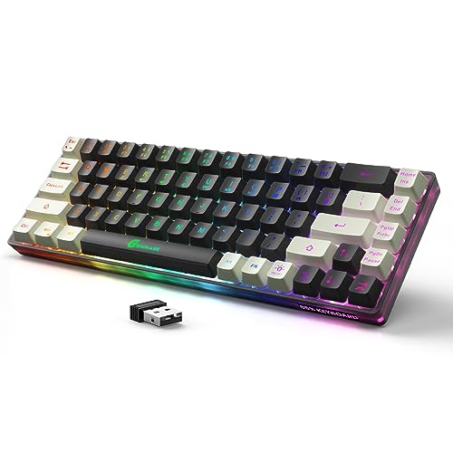 GEODMAER 65% Wireless Gaming Keyboard: LED Backlit, 68 Keys...