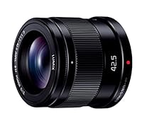 Algopix Similar Product 12 - Panasonic replacement lens LUMIX G