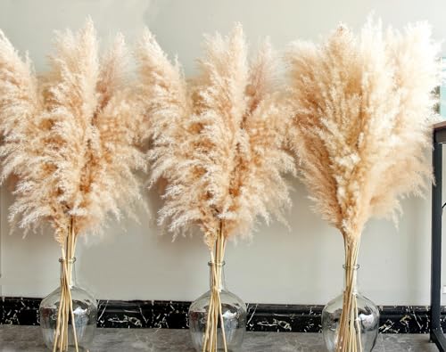 40' Tall Pampas Grass – 16 Stems Natural Pompas...