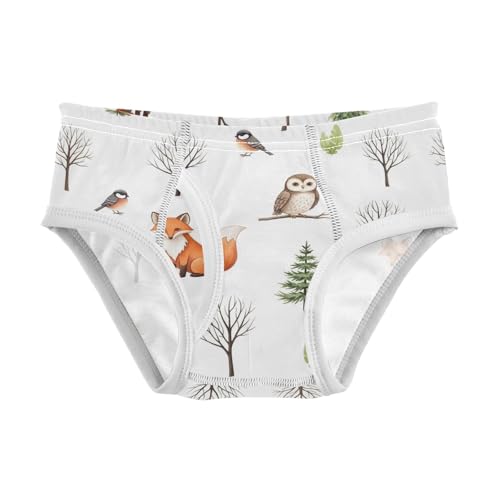 CHIFIGNO Cute Fox Owl White Underwear for Boys Printed Cotton Briefs Little Boys Breathable Underwear Briefs