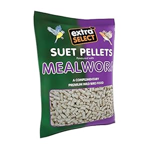 Extra Select High Energy Mealworm Suet Pellets Refill Wild Bird Treat, 3 kg