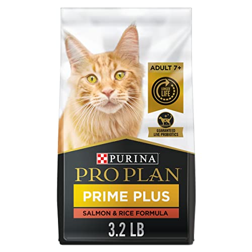 What are the Best  dry cat food for senior indoor cats  In 2022