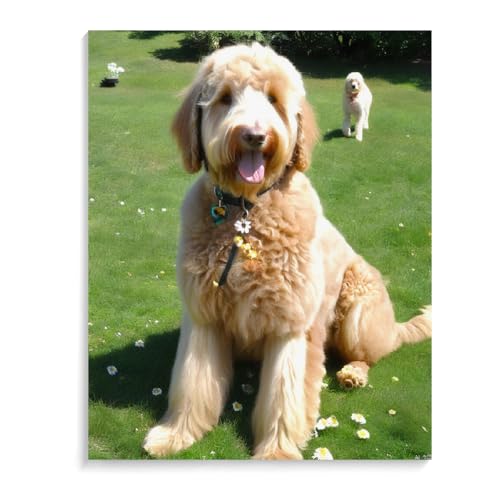 DIY Paint by Number for Adults Beginner Goldendoodle Dog Paint by Number on Canvas DIY Oil Painting for Gift Home Wall Decor 20x24inch(50x60cm) Frameless