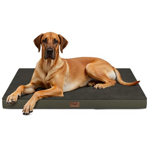 Image of Jumbo Waterproof Orthopedic Dog Bed for Extra Large Dogs | Egg Crate Foam, Pressure Relief, Fits 54x37 Crates, Machine Washable 1680D Oxford Cover, Indoor & Outdoor Use, Up to 150 lbs