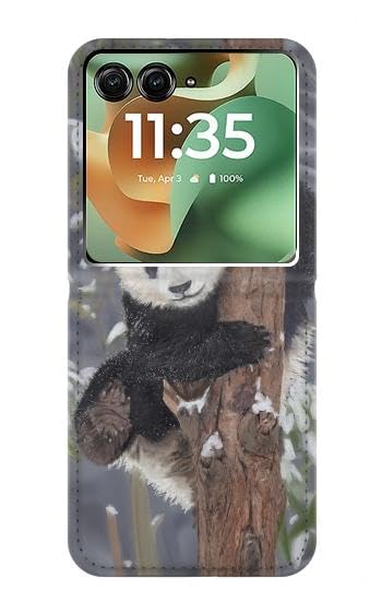 Etui flip housse cuir Motorola Razr+ 2026 panda étui protection rabat portefeuille