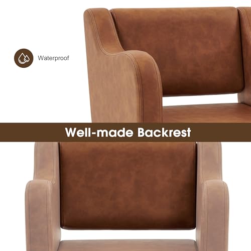 BarberPub Classic Salon Chair for Hair Stylist,Hydraulic Barber Styling Chair,Beauty Salon Spa Equipment 3802 (Brown) - Thumbnail 4