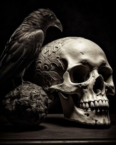 Generic Black White Raven Skull Cross Stitch Kits for Beginners Stamped Cross-Stitch Supplies Needlework DIY 11CT 3 Strands Cotton Thread Printed DIY Needlepoint Kits 40×50cm (vi113)